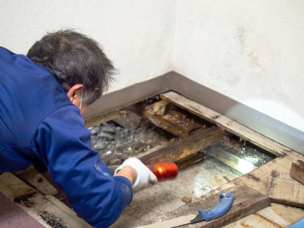 Water Damage Restoration in Harvard, IL