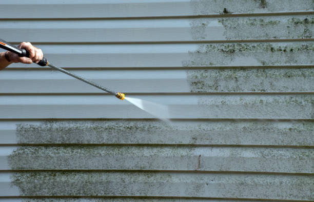 Best Attic Mold Removal  in Harvard, IL