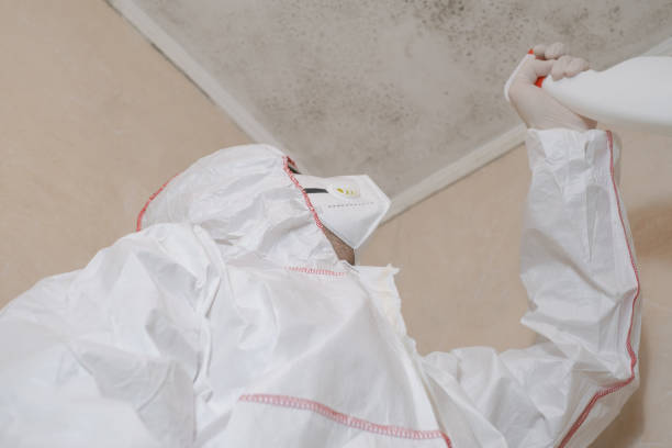 Best Local Mold Removal Service  in Harvard, IL
