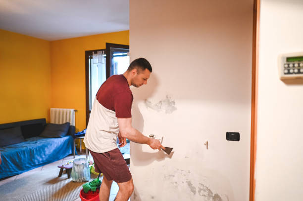 Attic Mold Removal in Harvard, IL